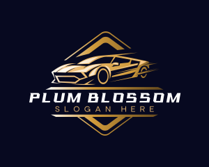 Sports Car Detailing logo design