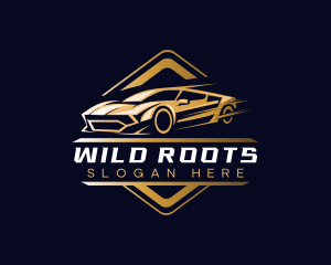 Sports Car Detailing logo design