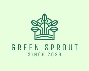 Morning Seedling Sprout  logo design