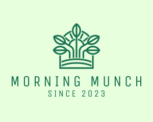 Morning Seedling Sprout  logo design
