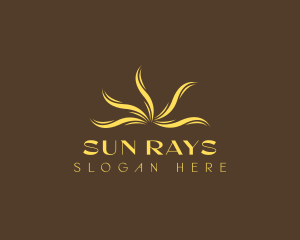 Sun Ray Waves logo design