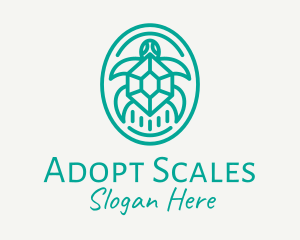 Teal Tortoise Turtle  logo design