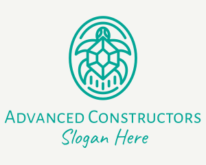 Teal Tortoise Turtle  logo design