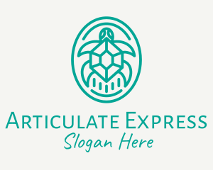 Teal Tortoise Turtle  logo design