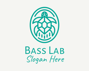 Teal Tortoise Turtle  logo design