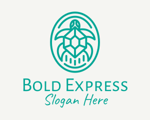 Teal Tortoise Turtle  logo design