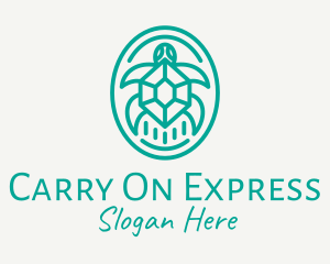 Teal Tortoise Turtle  logo design