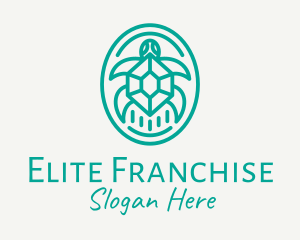 Teal Tortoise Turtle  logo design