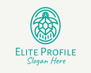 Teal Tortoise Turtle  logo design