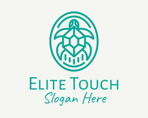 Teal Tortoise Turtle  logo design