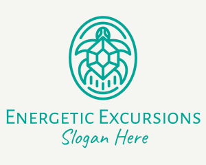 Teal Tortoise Turtle  logo design