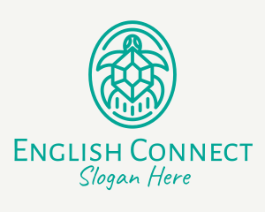 Teal Tortoise Turtle  logo design