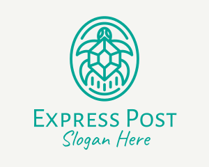 Teal Tortoise Turtle  logo design