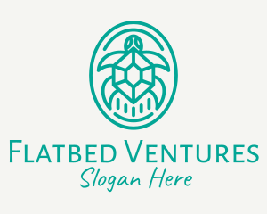 Teal Tortoise Turtle  logo design