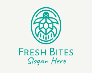 Teal Tortoise Turtle  logo design