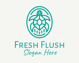 Teal Tortoise Turtle  logo design