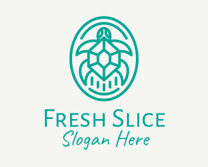 Teal Tortoise Turtle  logo design