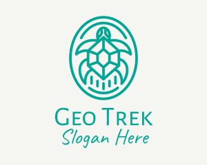 Teal Tortoise Turtle  logo design