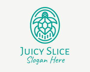 Teal Tortoise Turtle  logo design