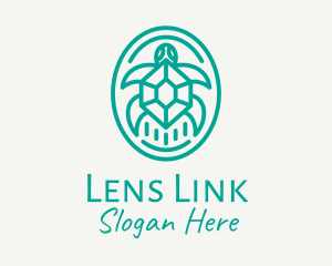 Teal Tortoise Turtle  logo design