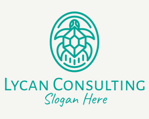 Teal Tortoise Turtle  logo design