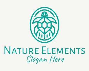 Teal Tortoise Turtle  logo design