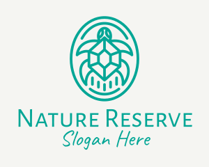 Teal Tortoise Turtle  logo design