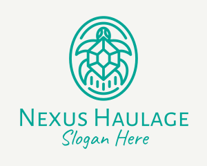 Teal Tortoise Turtle  logo design