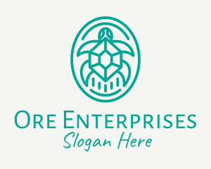 Teal Tortoise Turtle  logo design