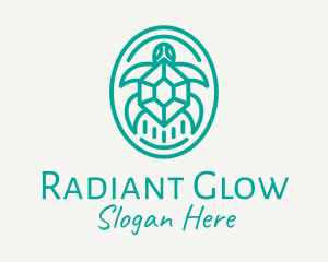 Teal Tortoise Turtle  logo design