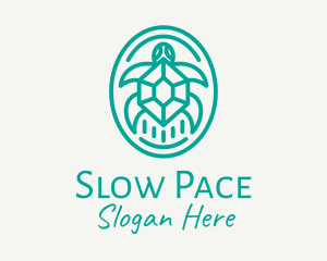 Teal Tortoise Turtle  logo