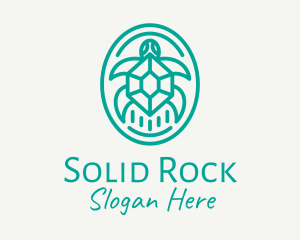 Teal Tortoise Turtle  logo design