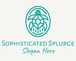 Teal Tortoise Turtle  logo design