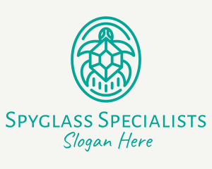 Teal Tortoise Turtle  logo design