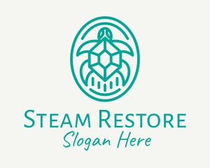 Teal Tortoise Turtle  logo design