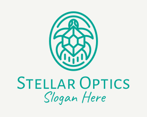 Teal Tortoise Turtle  logo design