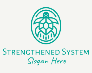 Teal Tortoise Turtle  logo design