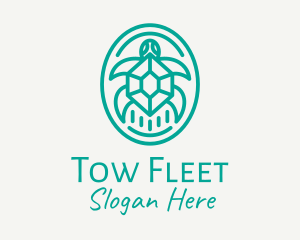 Teal Tortoise Turtle  logo design