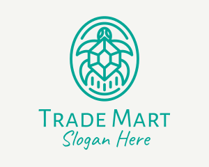 Teal Tortoise Turtle  logo design