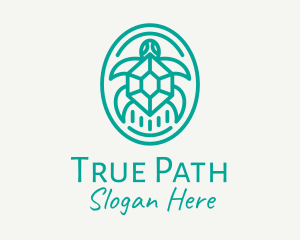 Teal Tortoise Turtle  logo design