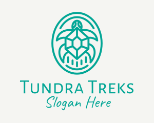 Teal Tortoise Turtle  logo design