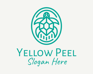 Teal Tortoise Turtle  logo design