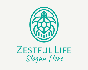 Teal Tortoise Turtle  logo design