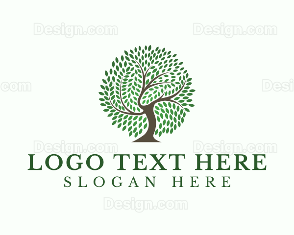 Eco Leaf Tree Logo