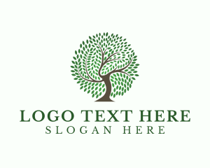 Eco Leaf Tree Logo