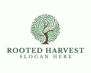 Eco Leaf Tree logo design