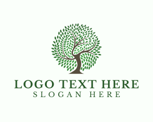 Essential - Eco Leaf Tree logo design