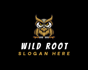 Wild Bird Owl logo design