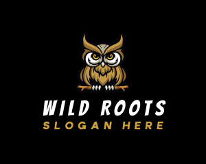 Wild Bird Owl logo design