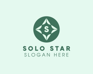 Sparkle Star Lighting  logo design